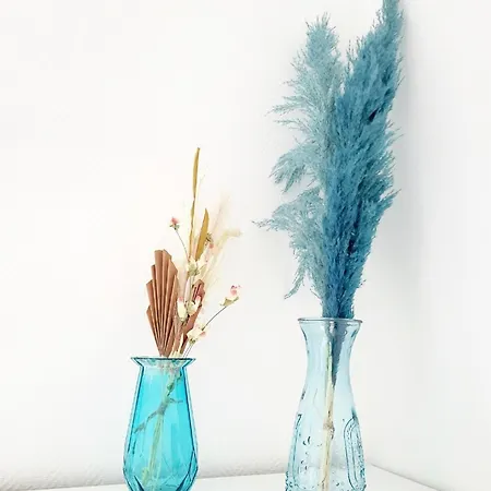 Le Cocon De Family And Free Parking Apartman Reims