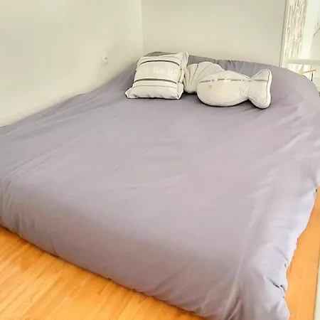 Apartman Le Cocon De Family And Free Parking Reims