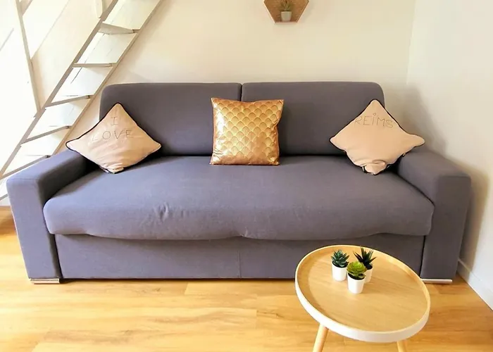 Le Cocon De Family And Free Parking Apartmán Remeš